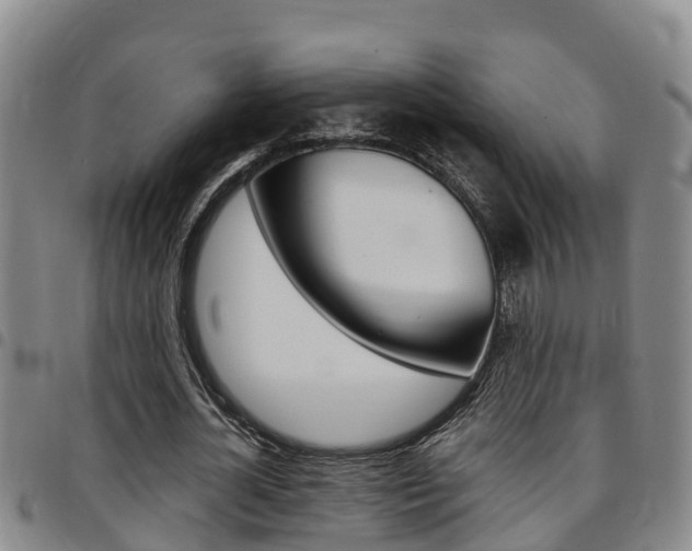 X0000097870724200803140917