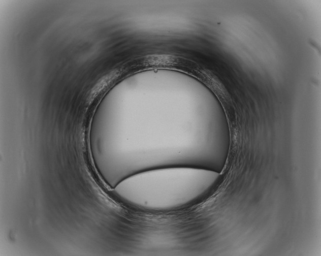 X0000097870725200803140917