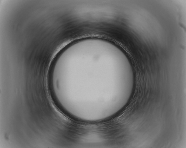 X0000097870726200803140917