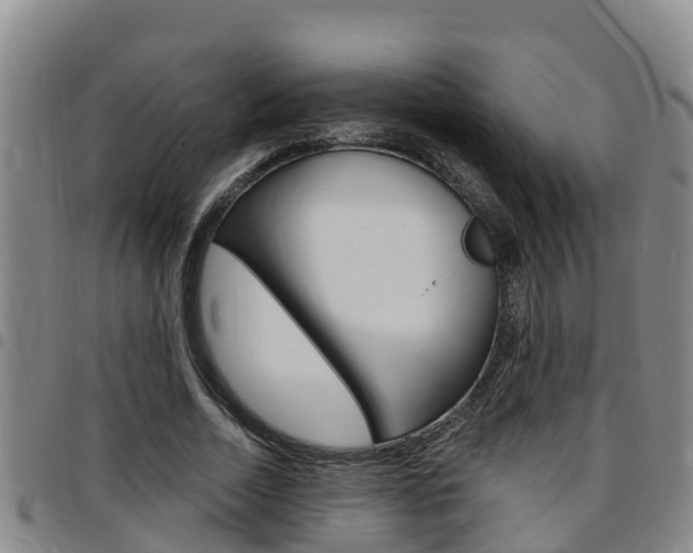 X0000097870730200803140917