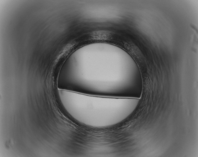 X0000097870731200803140917