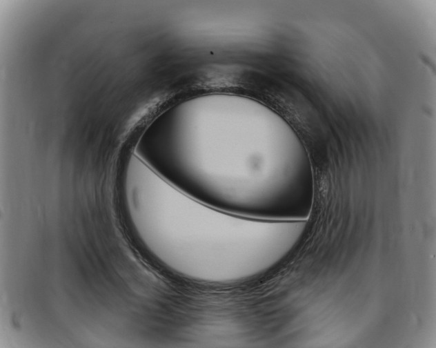 X0000097870732200803140917