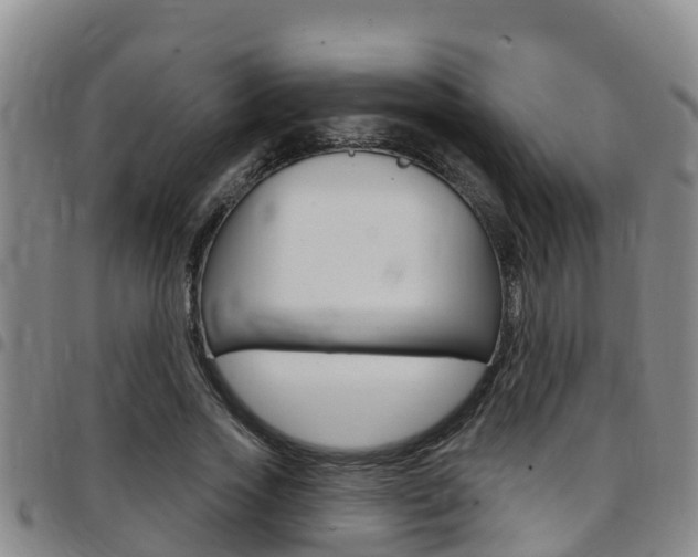 X0000097870733200803140917