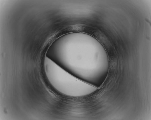 X0000097870736200803140917