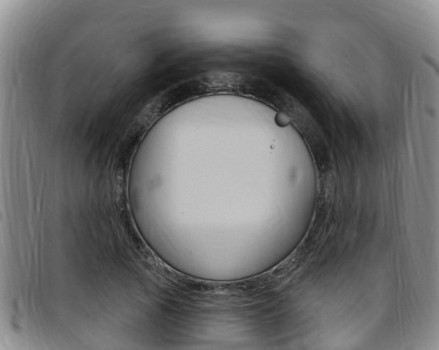 X0000097870737200803140917