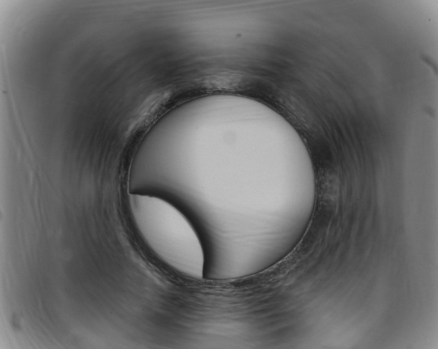 X0000097870738200803140917