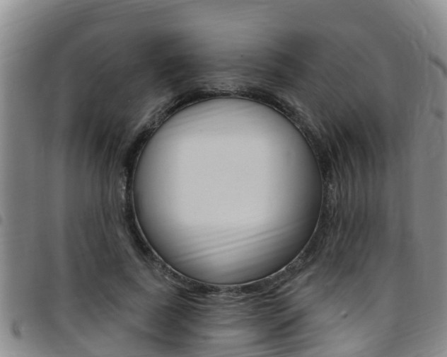 X0000097870739200803140917