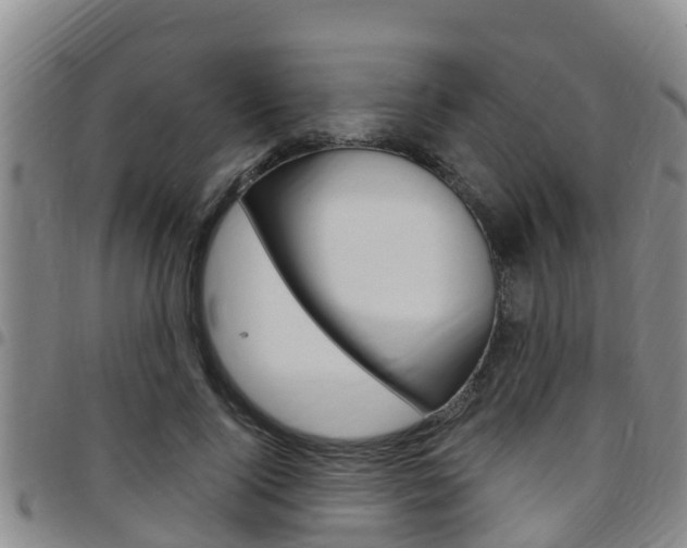 X0000097870740200803140917