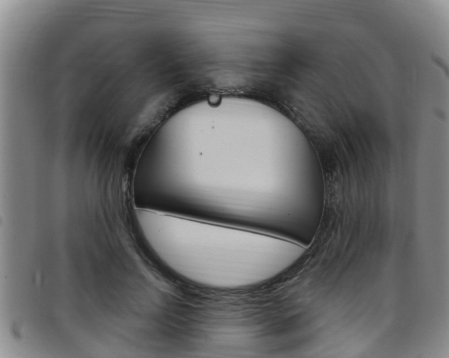 X0000097870742200803140917