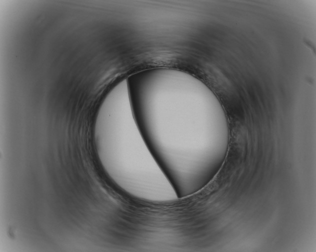 X0000097870744200803140917