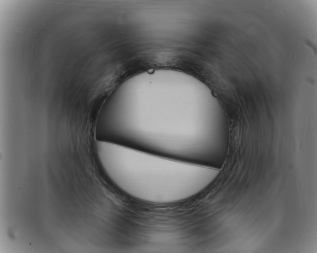 X0000097870746200803140917