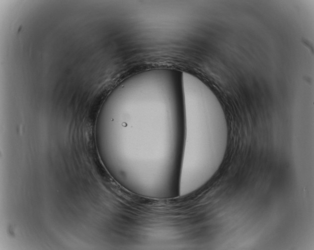 X0000097870747200803140917