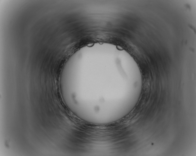 X0000097870749200803140917