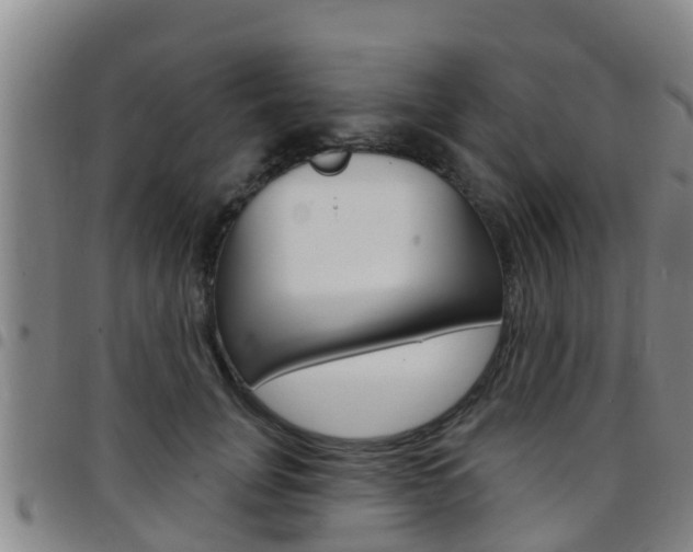 X0000097870751200803140918