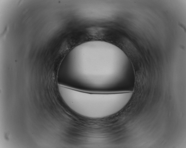 X0000097870752200803140918