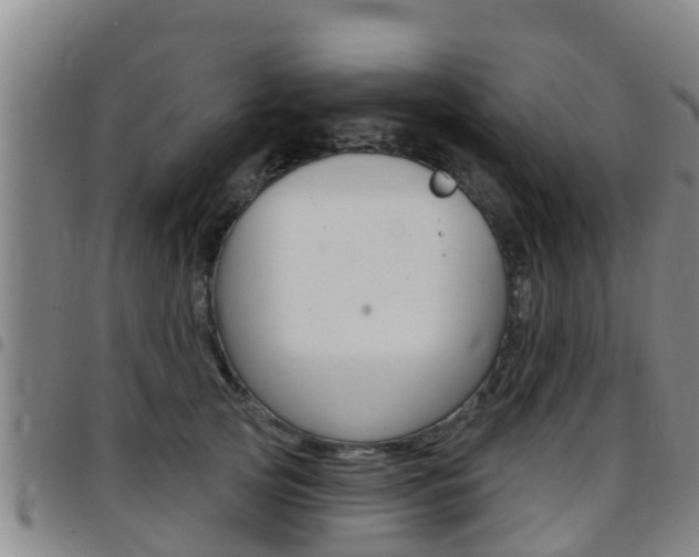 X0000097870753200803140918