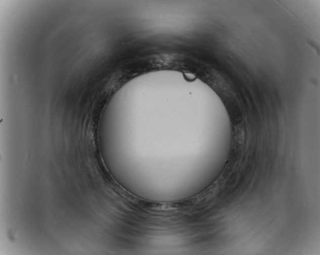 X0000097870754200803140918
