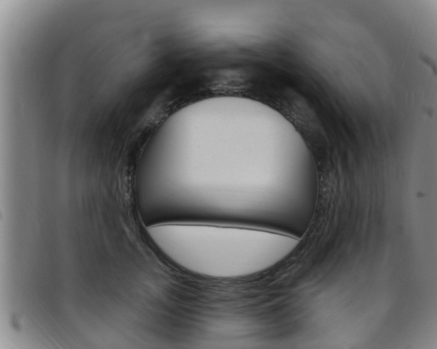 X0000097870755200803140918