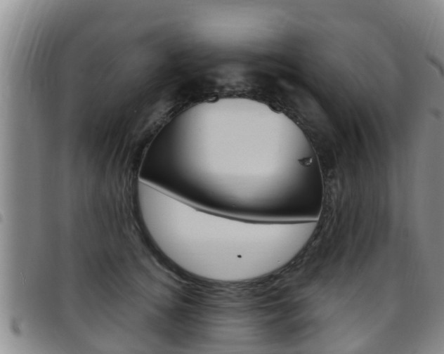 X0000097870756200803140918