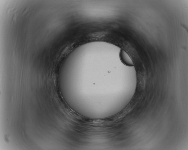 X0000097870758200803140918