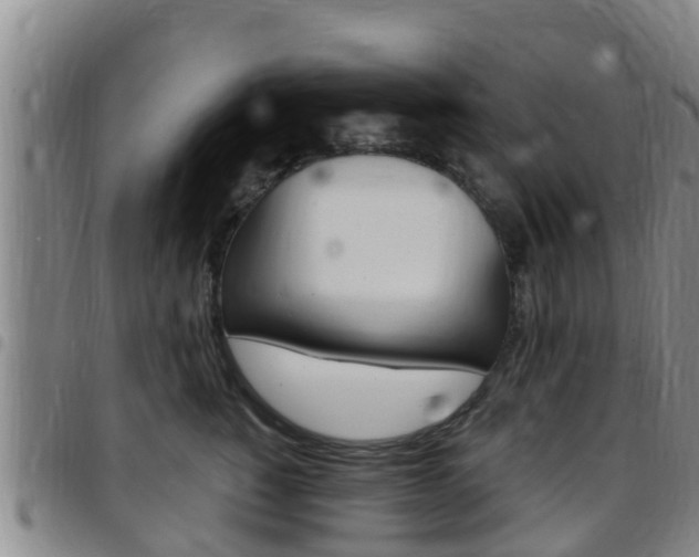X0000097870760200803140918