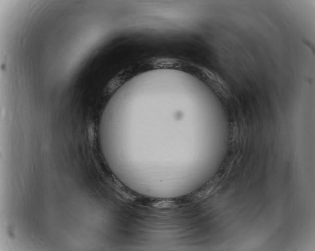 X0000097870761200803140918