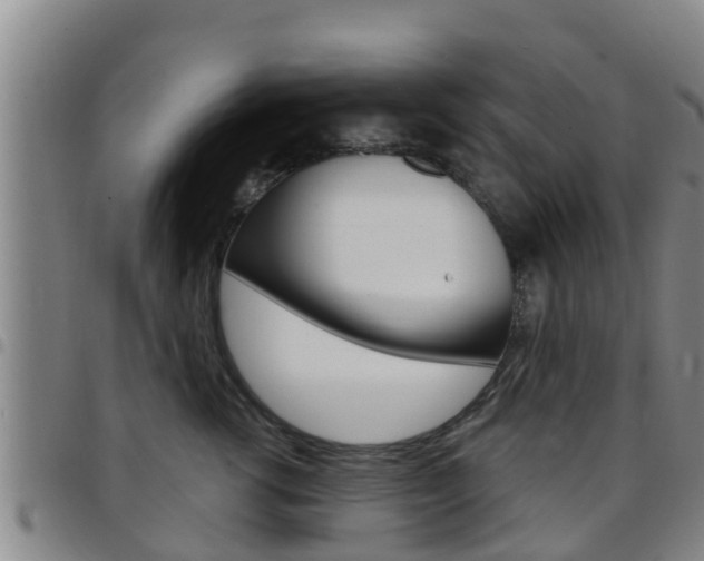X0000097870762200803140918