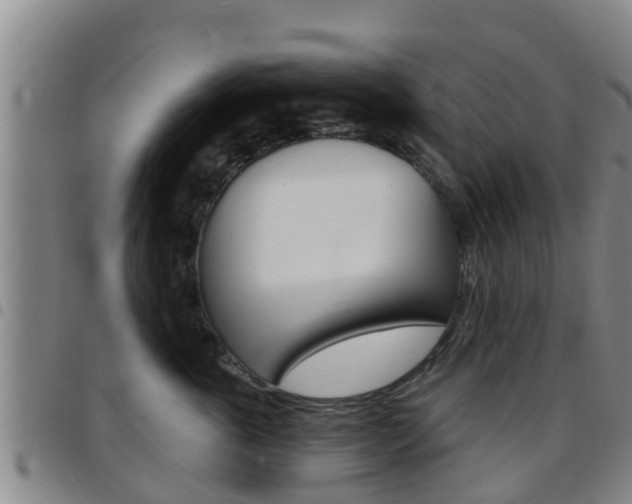 X0000097870763200803140918