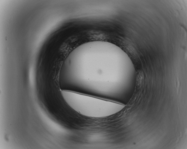 X0000097870764200803140918