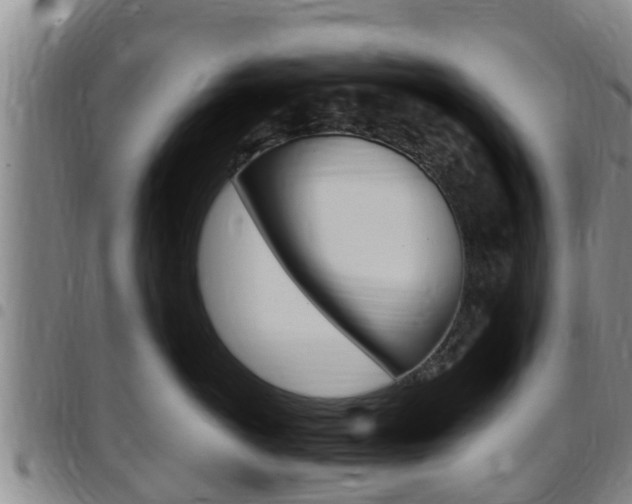 X0000097870766200803140918