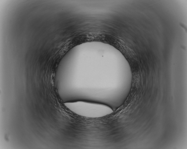 X0000097870770200803140917