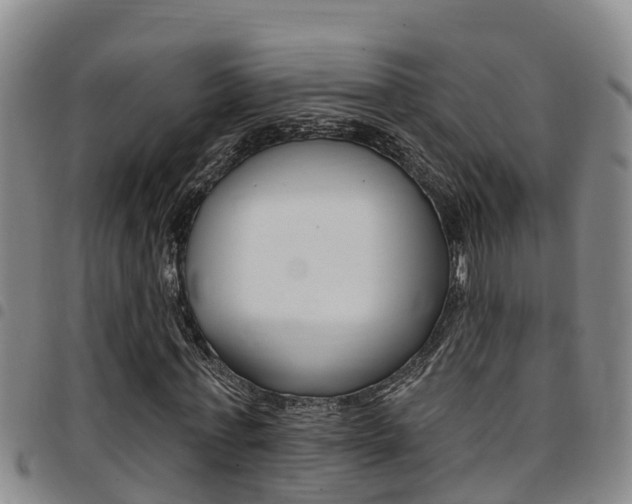 X0000097870771200803140917