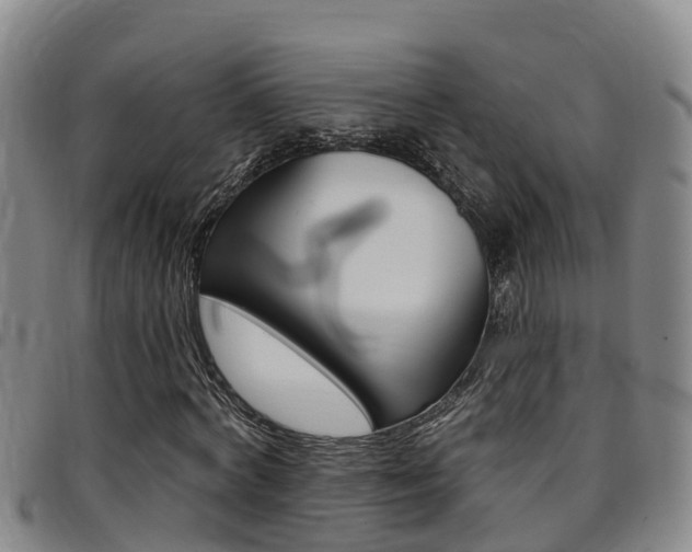 X0000097870772200803140917