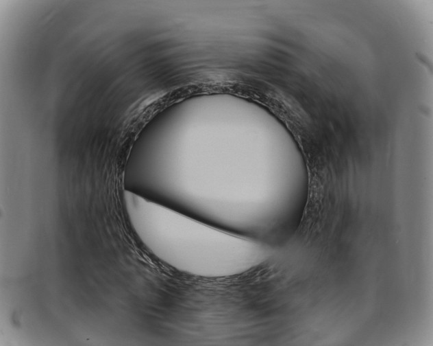 X0000097870773200803140917