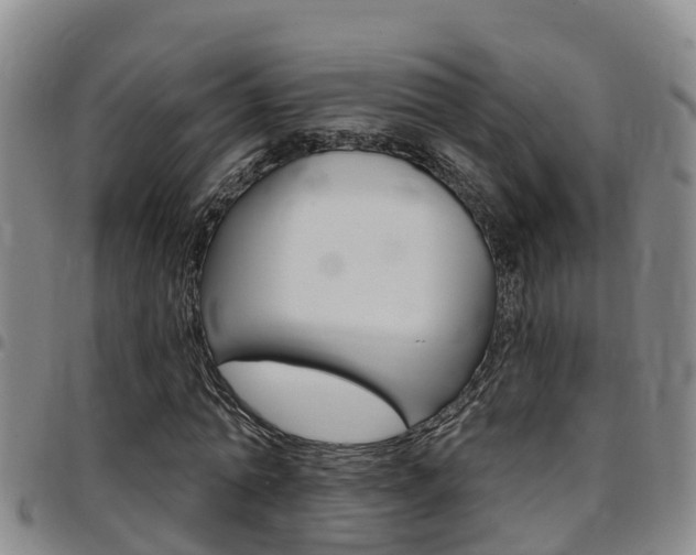 X0000097870774200803140917