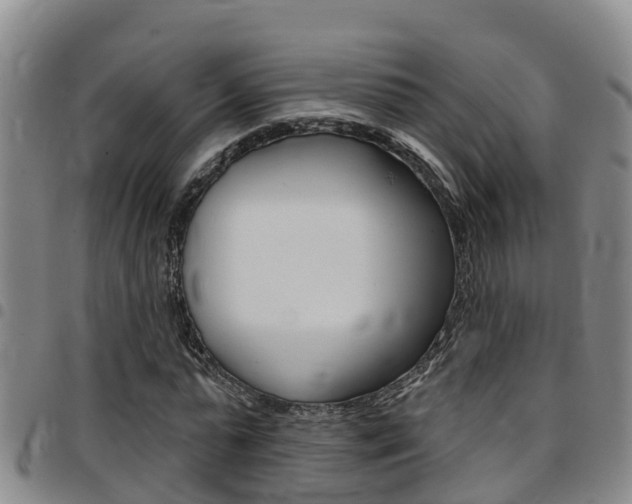 X0000097870775200803140917