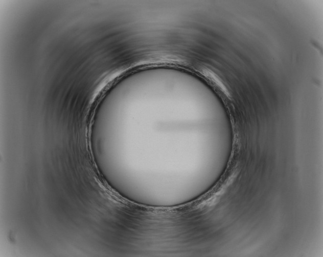 X0000097870781200803140917