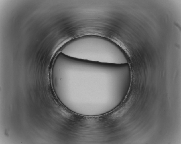 X0000097870782200803140917