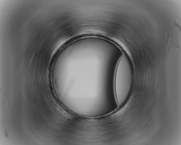 X0000097870783200803140917