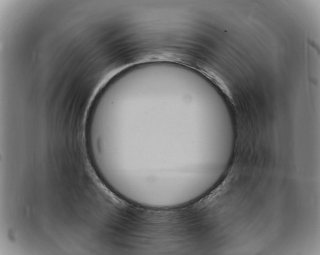 X0000097870784200803140917