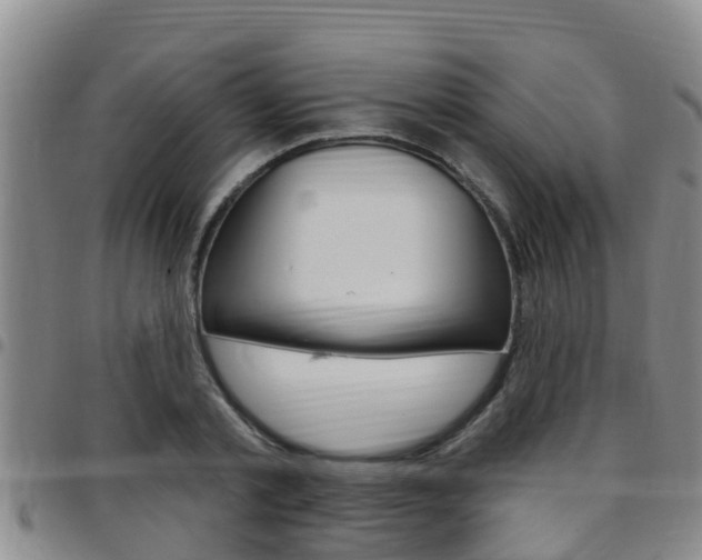 X0000097870789200803140917