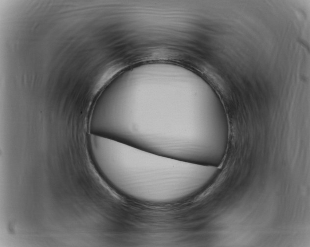 X0000097870794200803140917