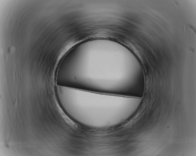 X0000097870795200803140917