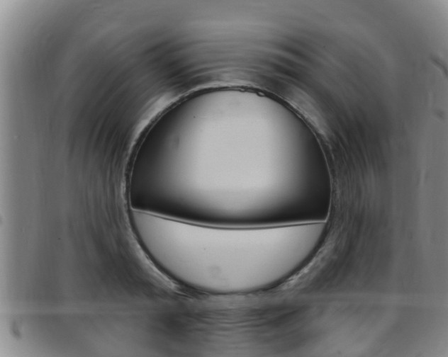 X0000097870797200803140917