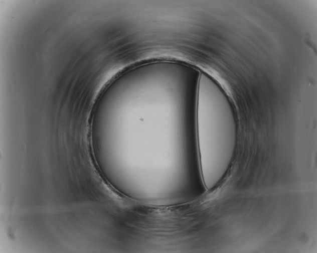 X0000097870799200803140917