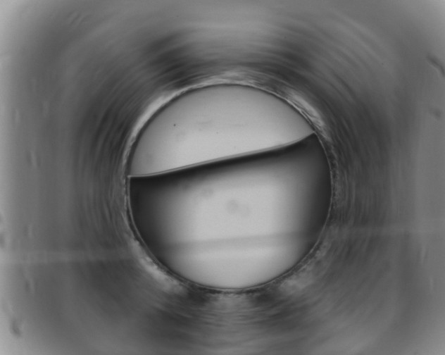 X0000097870800200803140917