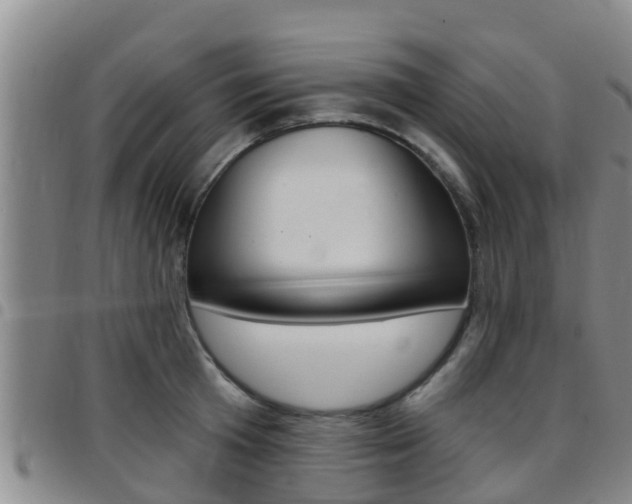 X0000097870801200803140917