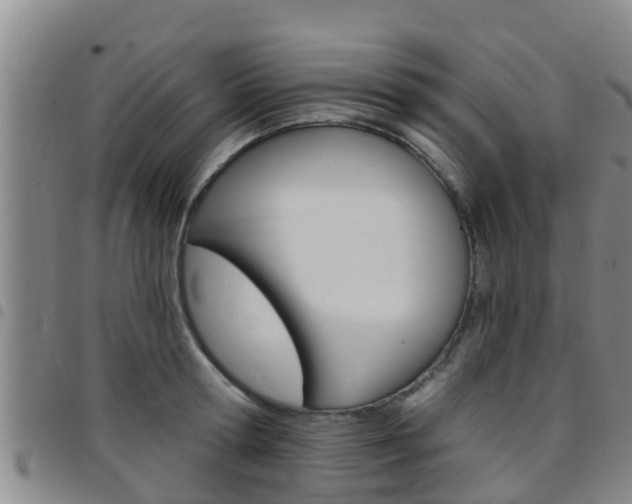 X0000097870802200803140917
