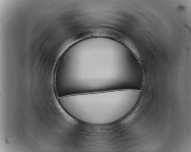 X0000097870803200803140917