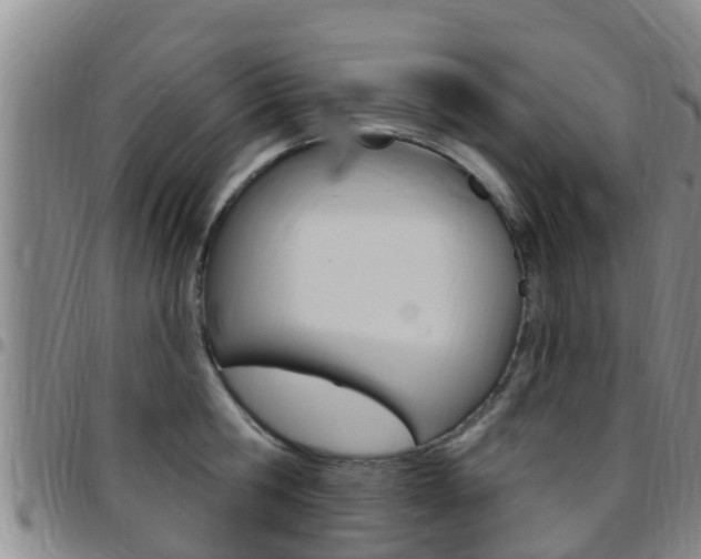 X0000097870806200803140917